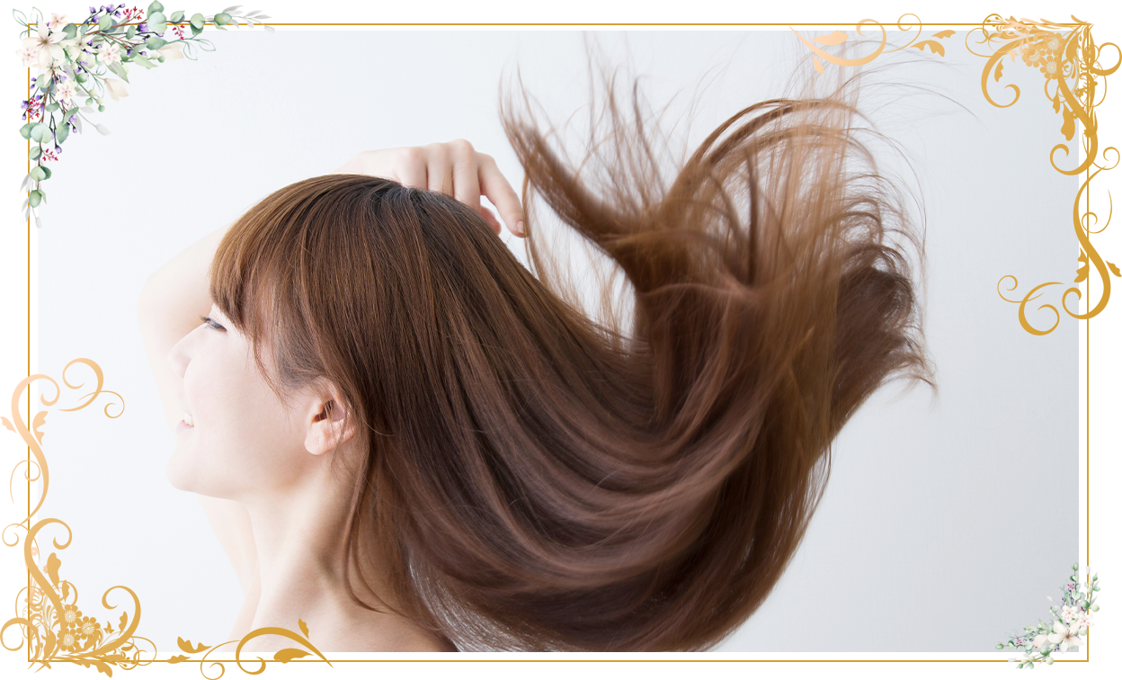 Lily Grace〜リリーグレース